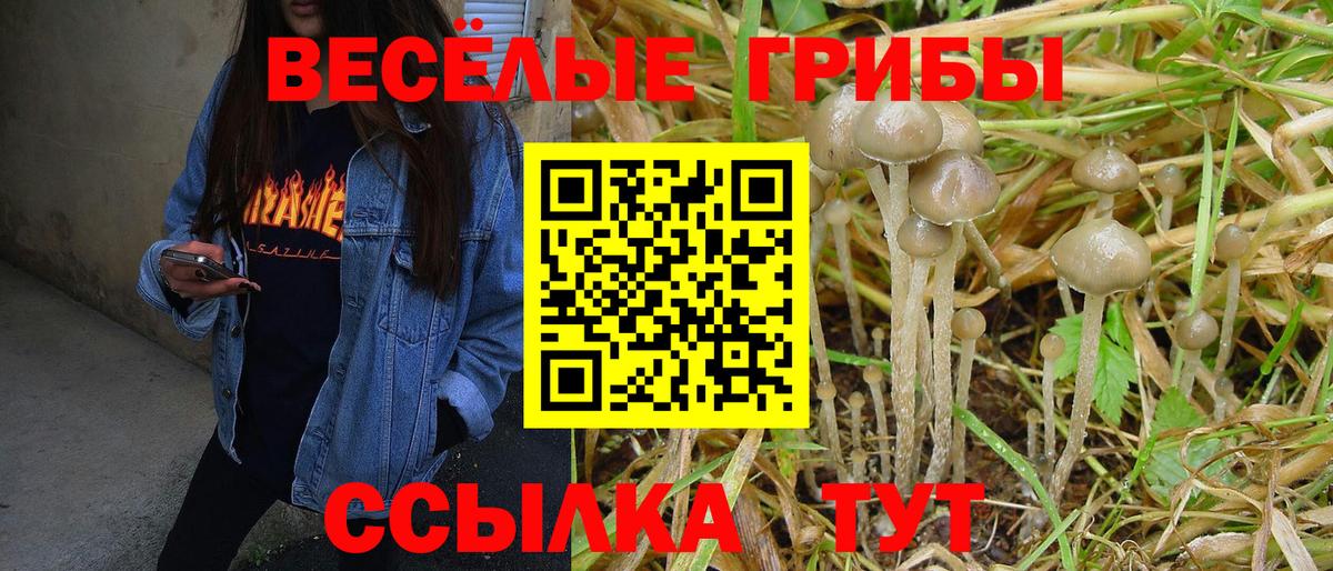 Галлюциногенные грибы Cubensis  Галлюциногенные грибы прущие грибы  Балашиха  Вход с VPN 